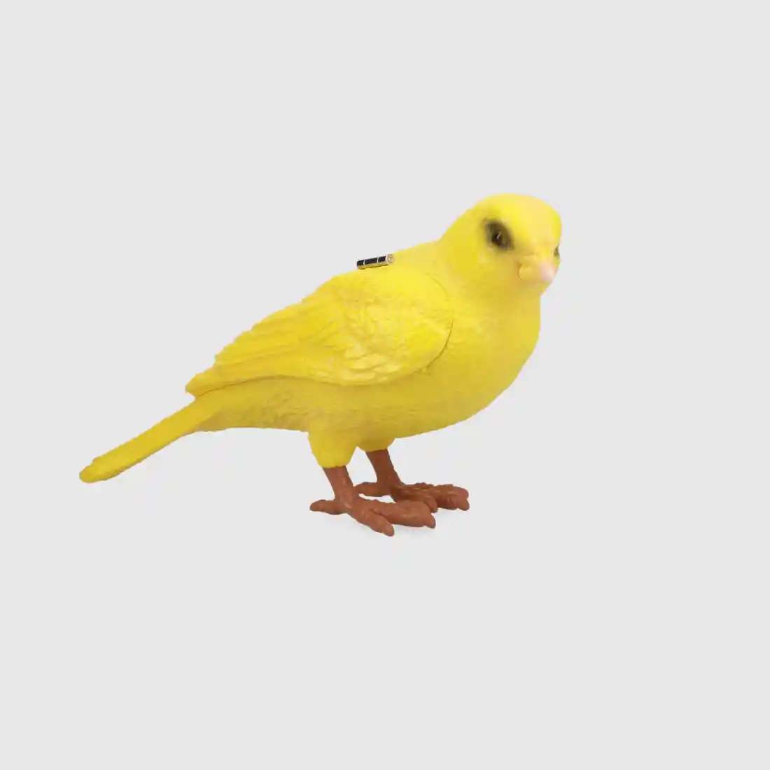 Spin